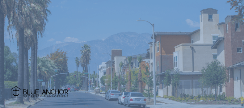 Investment Focus Belleville